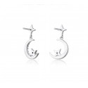 New 925 Silver Ear Studs for Women's Long and Low Profile Design, High Grade, Light Luxury Earrings, Temperament Earrings